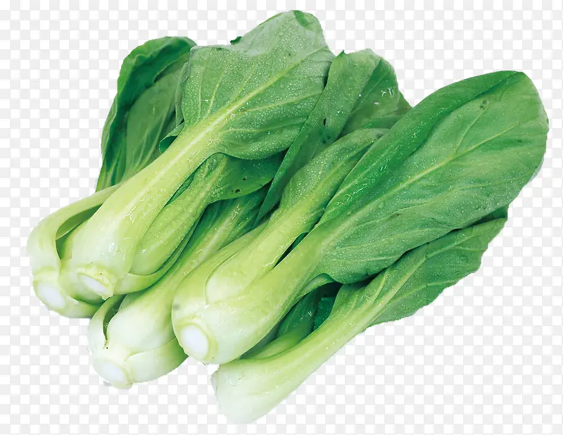 ʳ��ͼƬ�زĿ�ͨʳ��ͼƬ �߲�-������