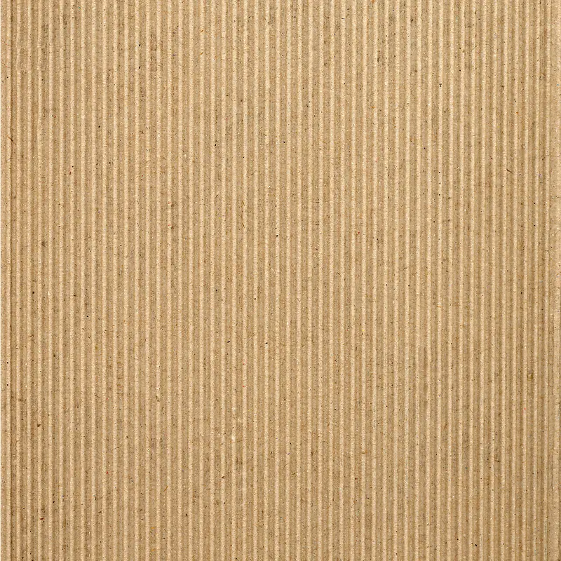 ����ֽ����-������