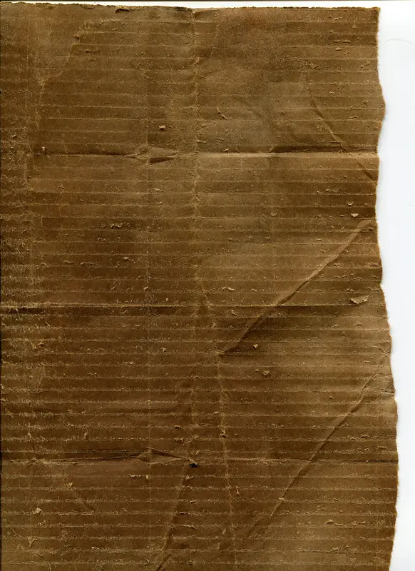 ����ֽ����-������