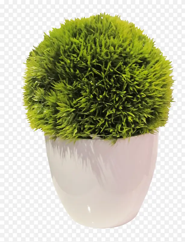 ��ɫ��������-������