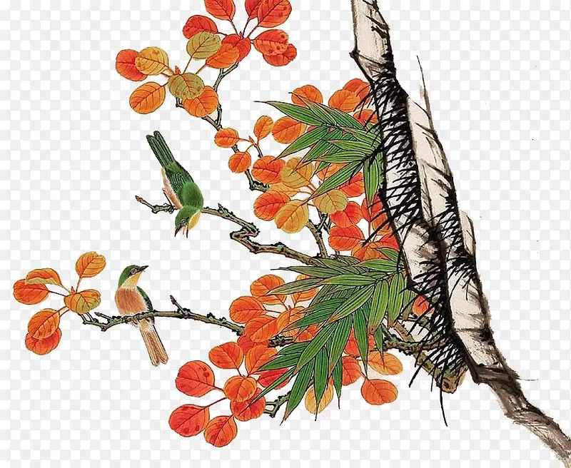 ��֦-������