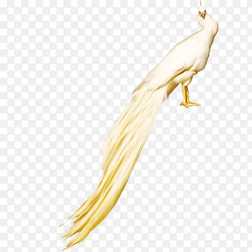 ��ɫ��ȸͼ-������