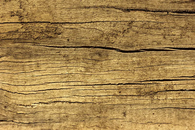 ľ���ѷ챳��-������