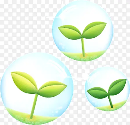 װ������С��-������