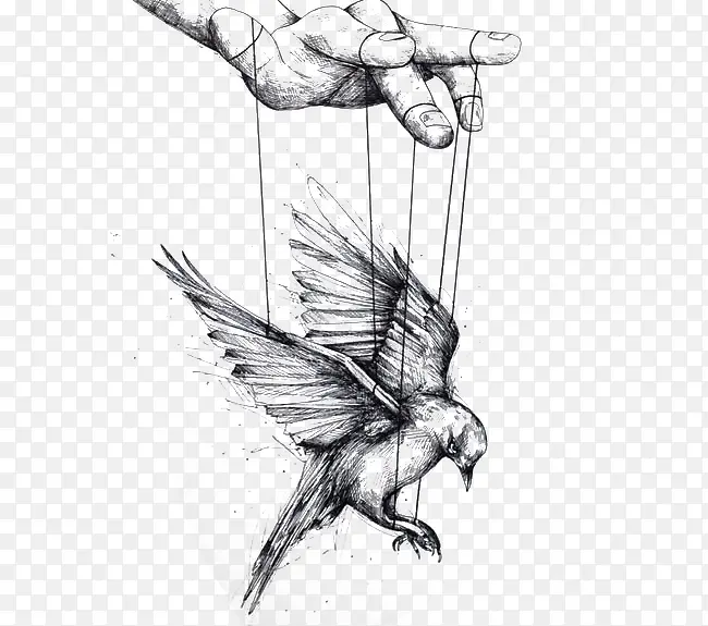 ľż��ӥ�廭-������