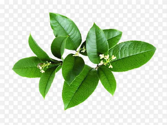 ��-������