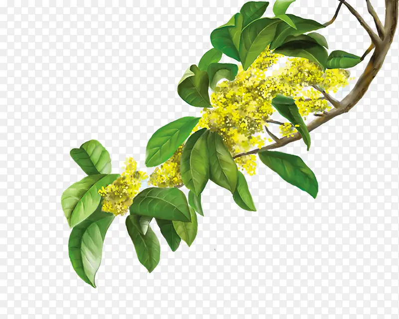 ��-������