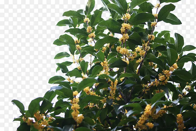 ��-������