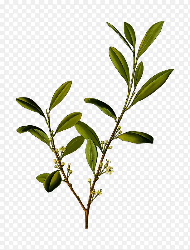 �𻨿���-������