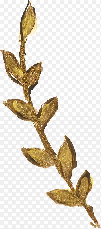 ��֦-������