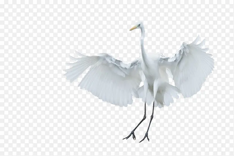 ���Ѽ���צ��-������