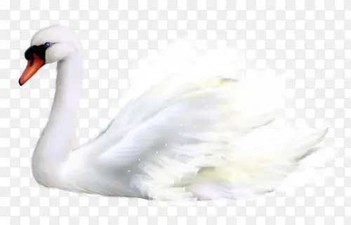 ��ɫ���-������