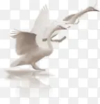 ���-������