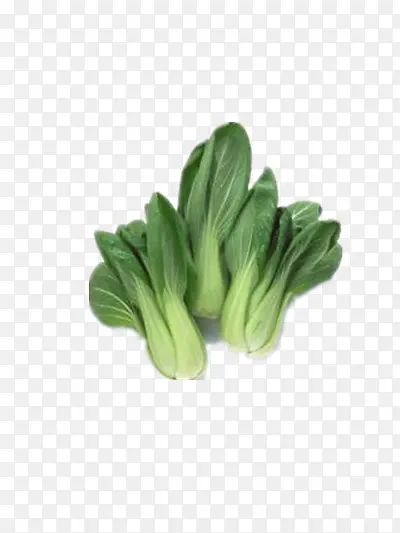 �Ϻ���-������