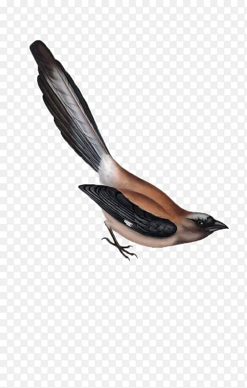 �ֻ�����ز�ͼƬ-������