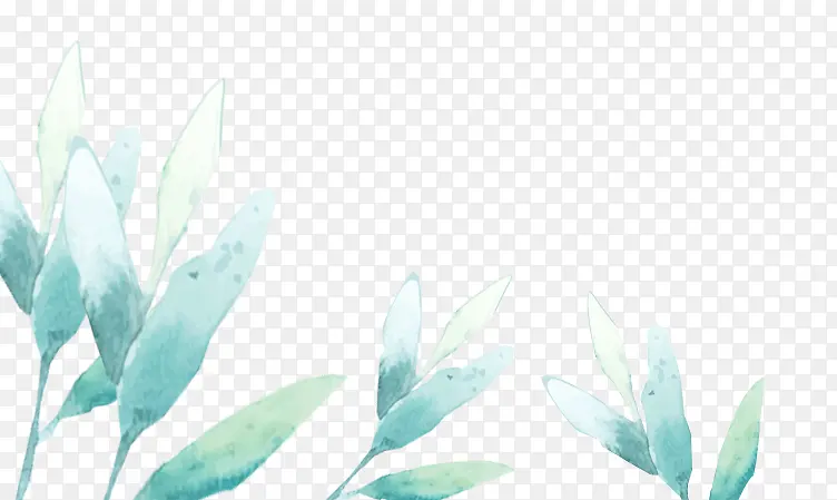 ˮ��ҶƬ-������