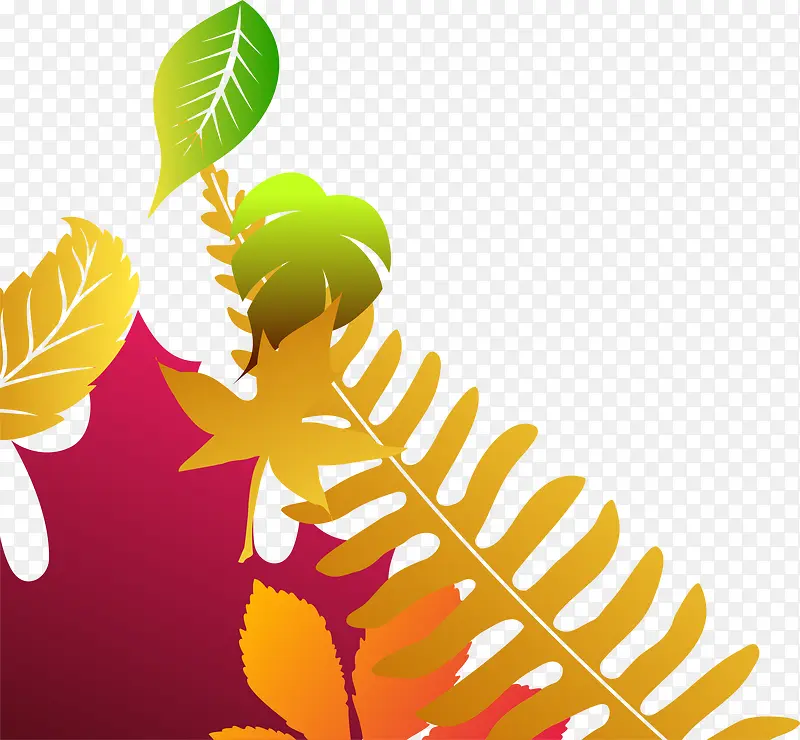 ��Ҷ����-������