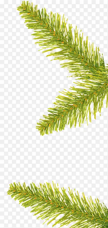 �ֻ���֦�ز�-������