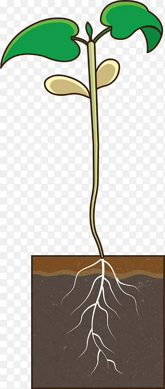 ��ɫ�������²���-������