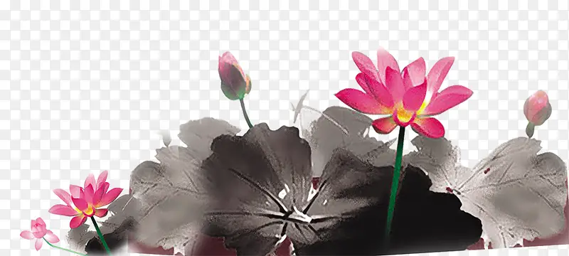 �й���ˮ��ˮī��-������