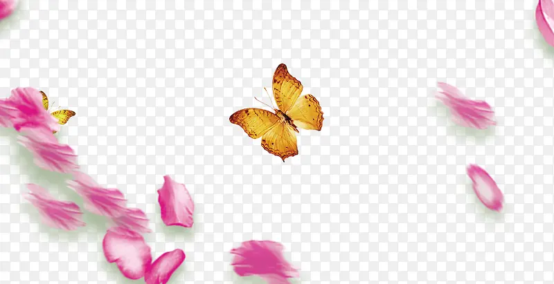 ����-������