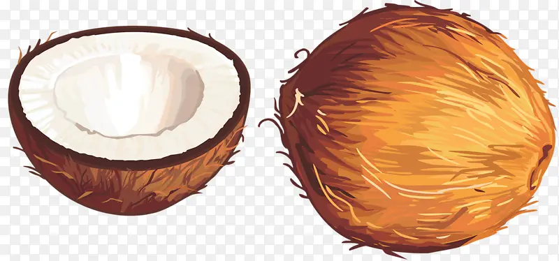 ˮ��Ҭ��-������