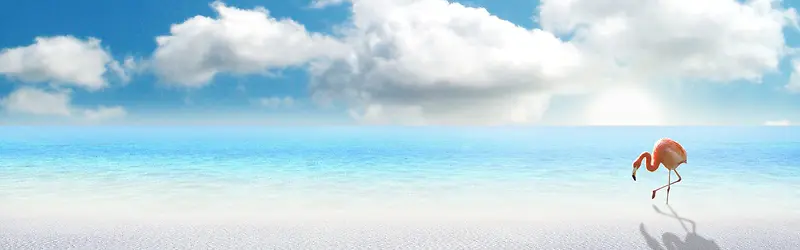 ���߱���-������