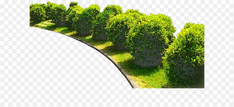 ·�ߵ������ŵ���-������