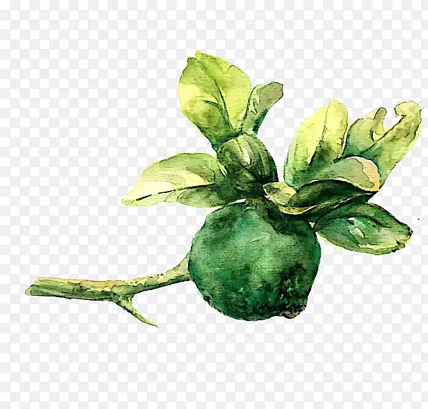 ˮ���߲�-������