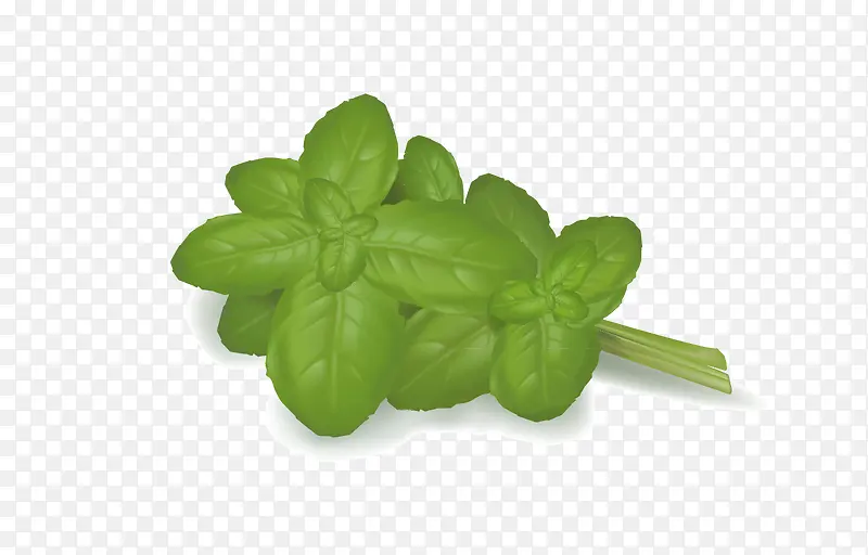 ��ɫ�߲�-������