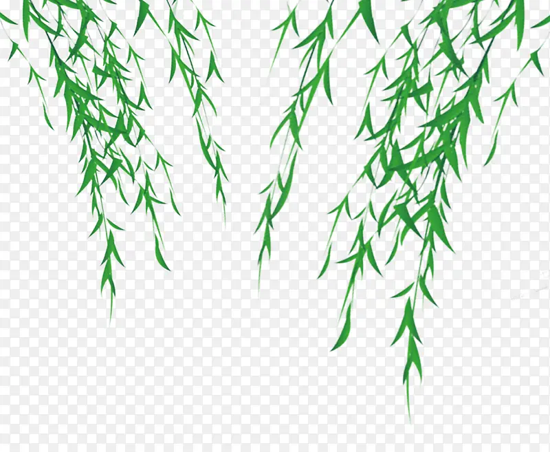 �ֻ���Ҷ-������