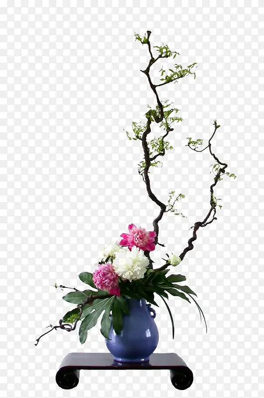 ��ƿ-������