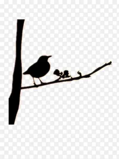 �廭-������