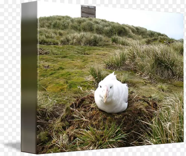 ��̬�Ƕ���������-������