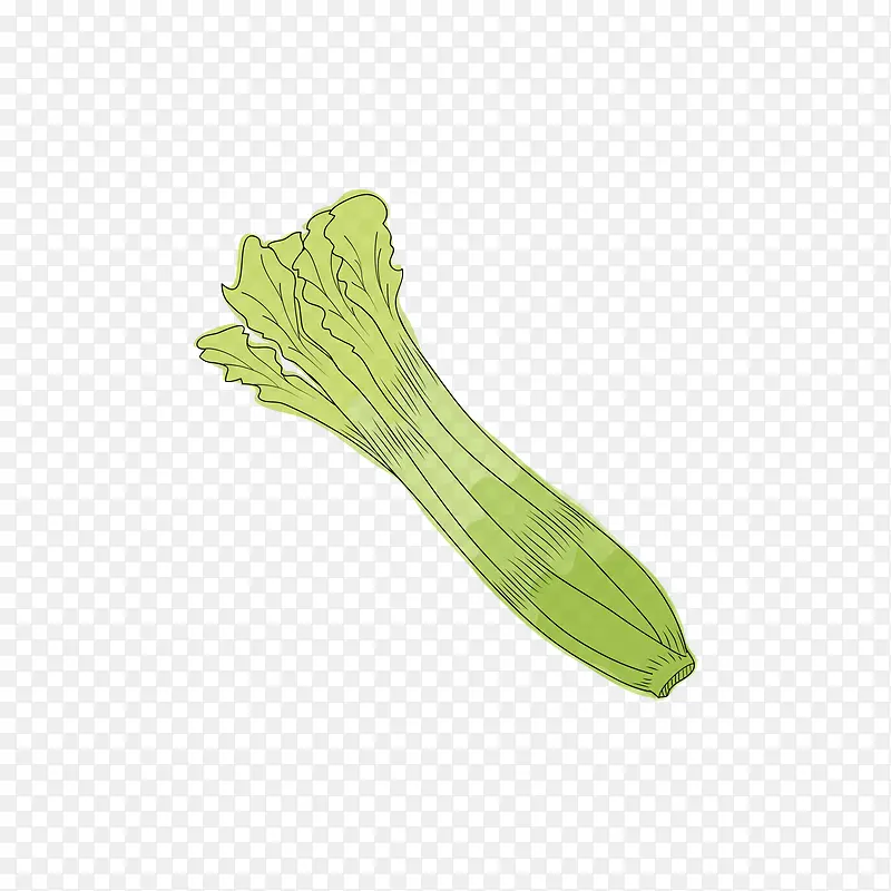 ��ɫ���۲�-������