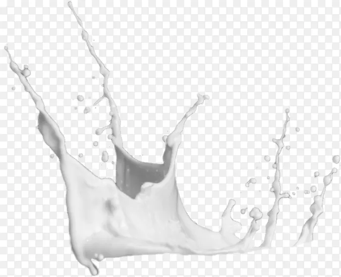 ��ɫţ�̵�������-������