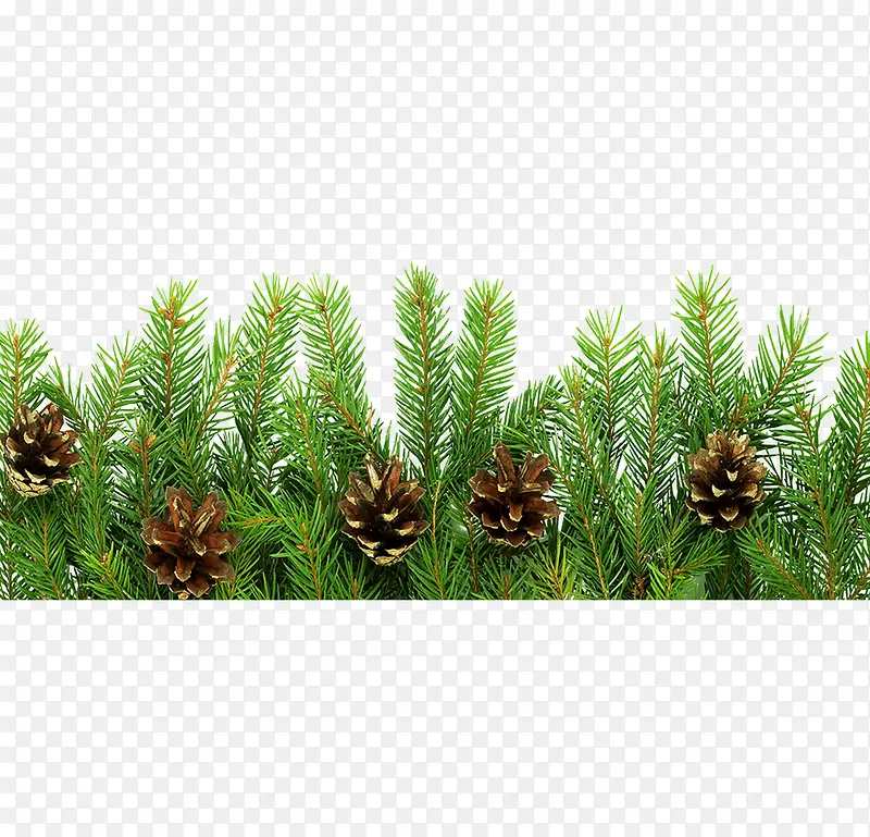 ������ ����-������