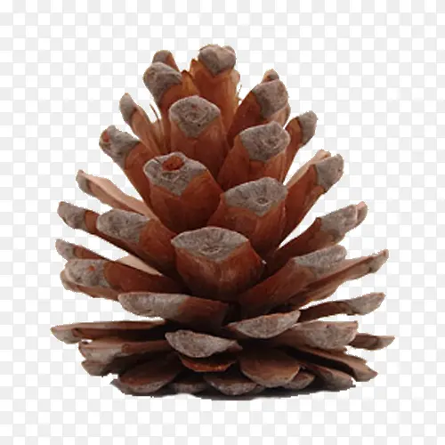 ����ʵ��-������