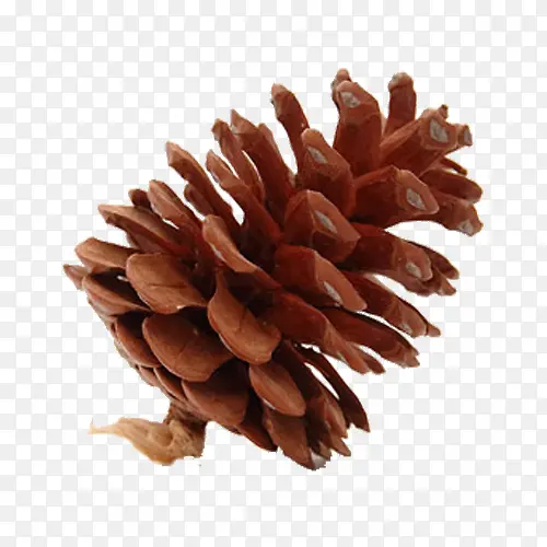 ����ʵ��-������