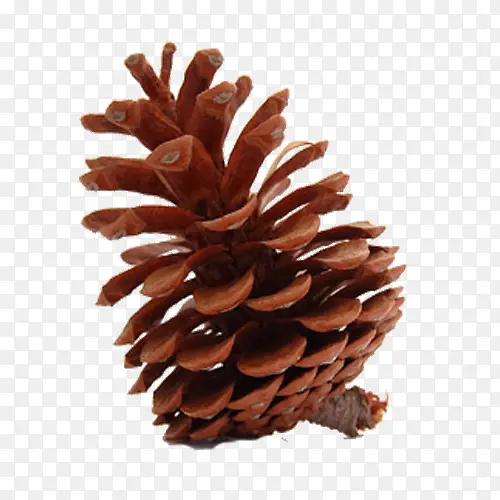 ����ʵ��-������