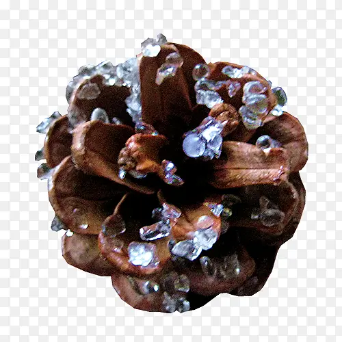 ����ʵ��-������