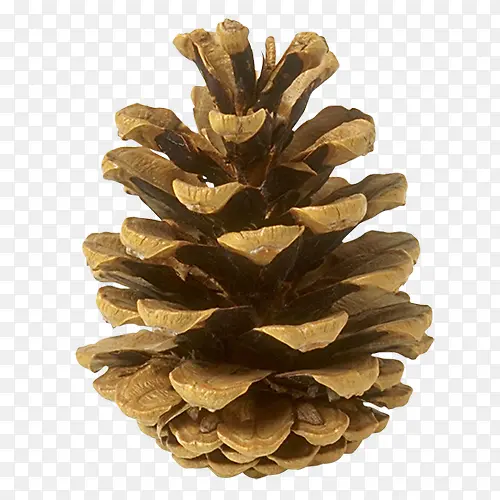 ����ʵ��-������