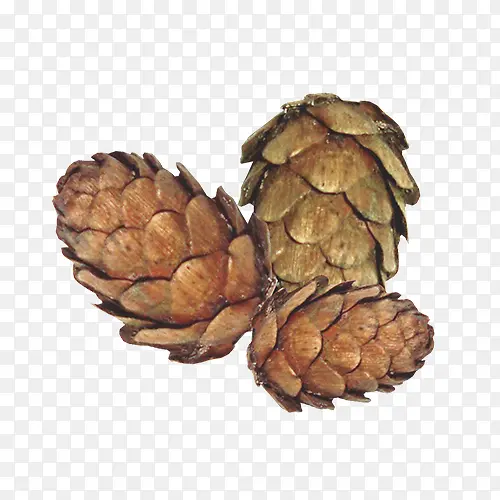 ����ʵ��-������