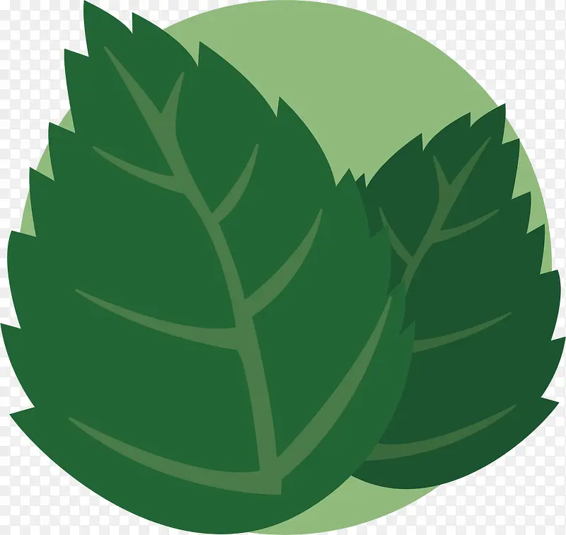 ��ͨҶ����Ҷװ�β廭-������