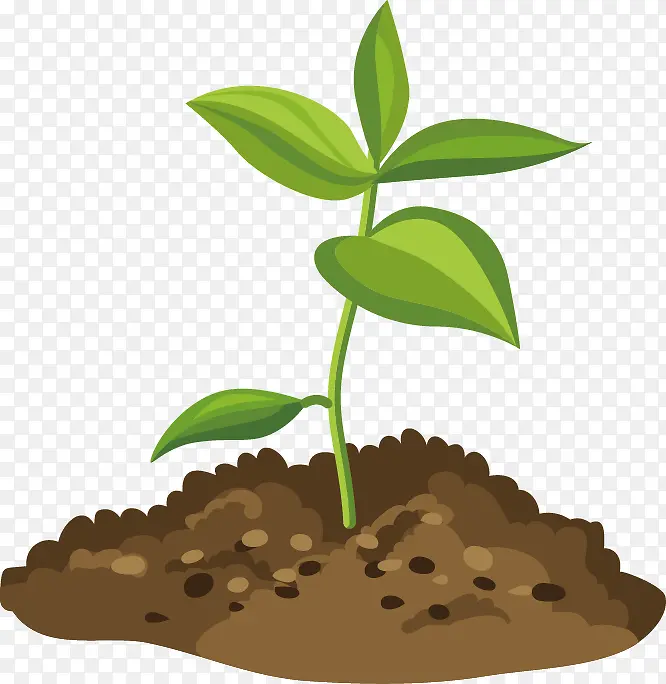 ����������С��-������