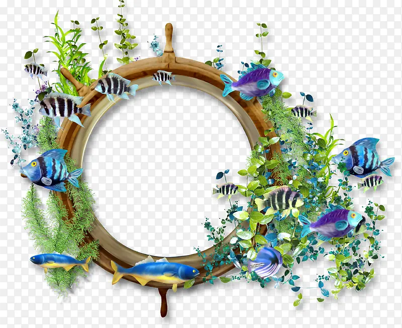 ��ʺ�������-������