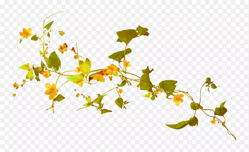 ��ɫ������.ˮ�ʻ���-������