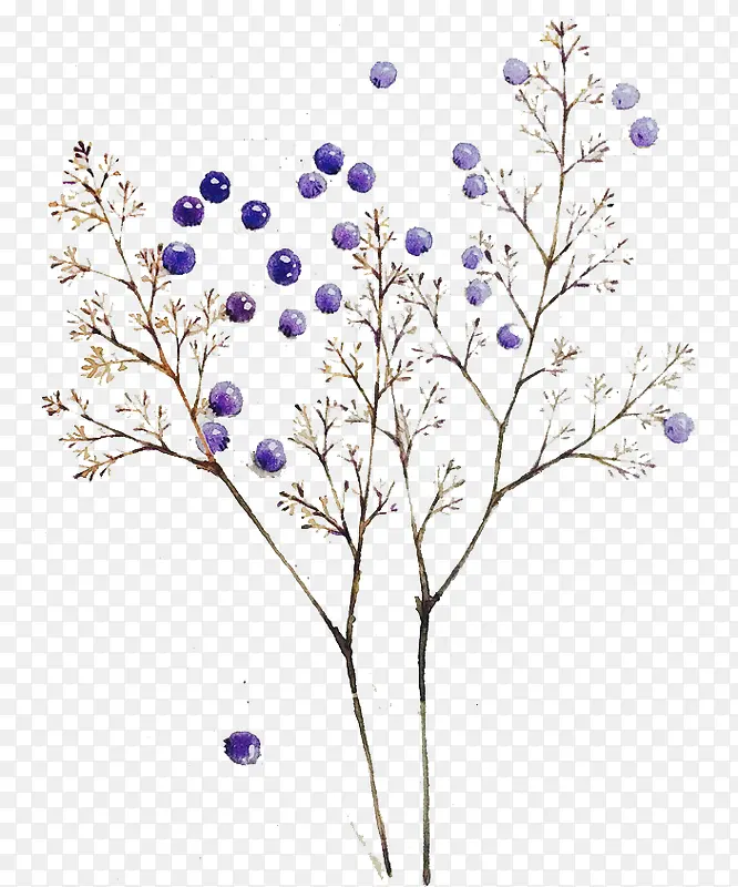 ��֦�͹���-������