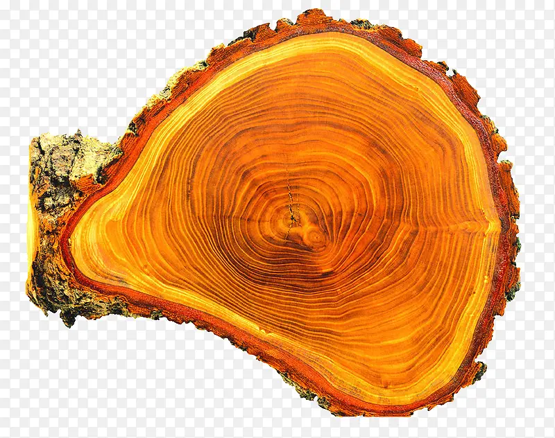 ľ׮-������