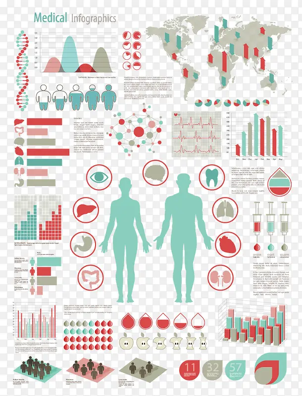 ҽ��������Ϣ����ͼ-������